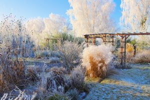invierno arquitectable