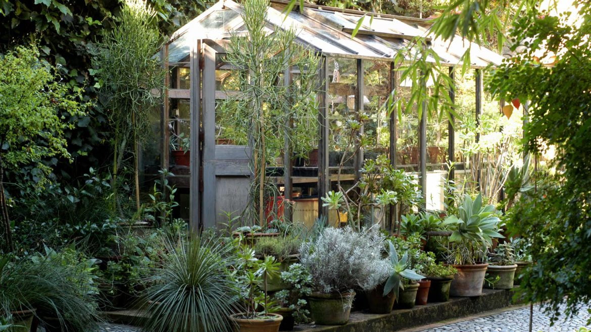 arquitectable-jardin de invierno