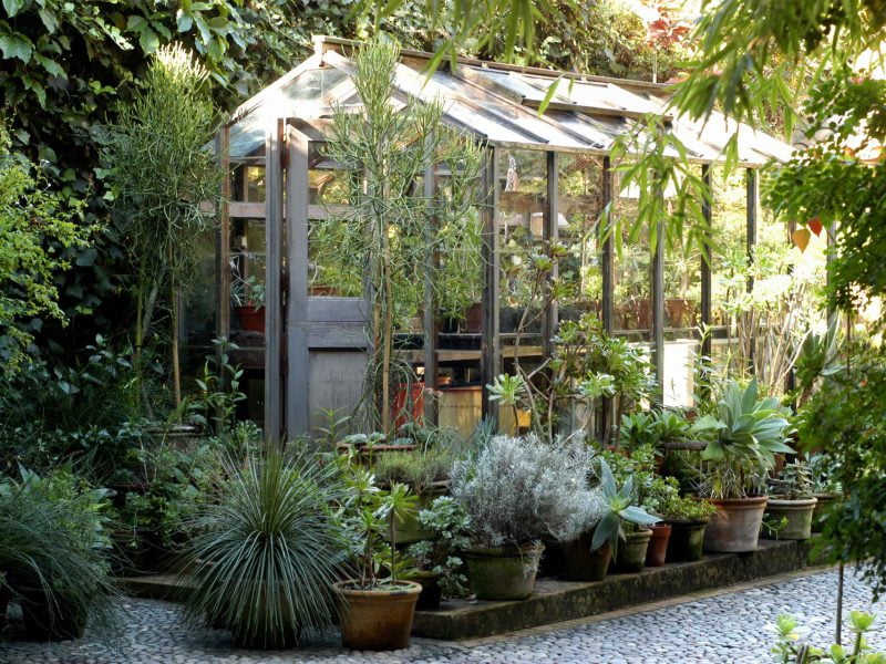 arquitectable-jardin de invierno