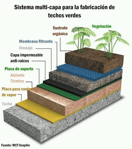 arquitectable organigrama-techos-verde