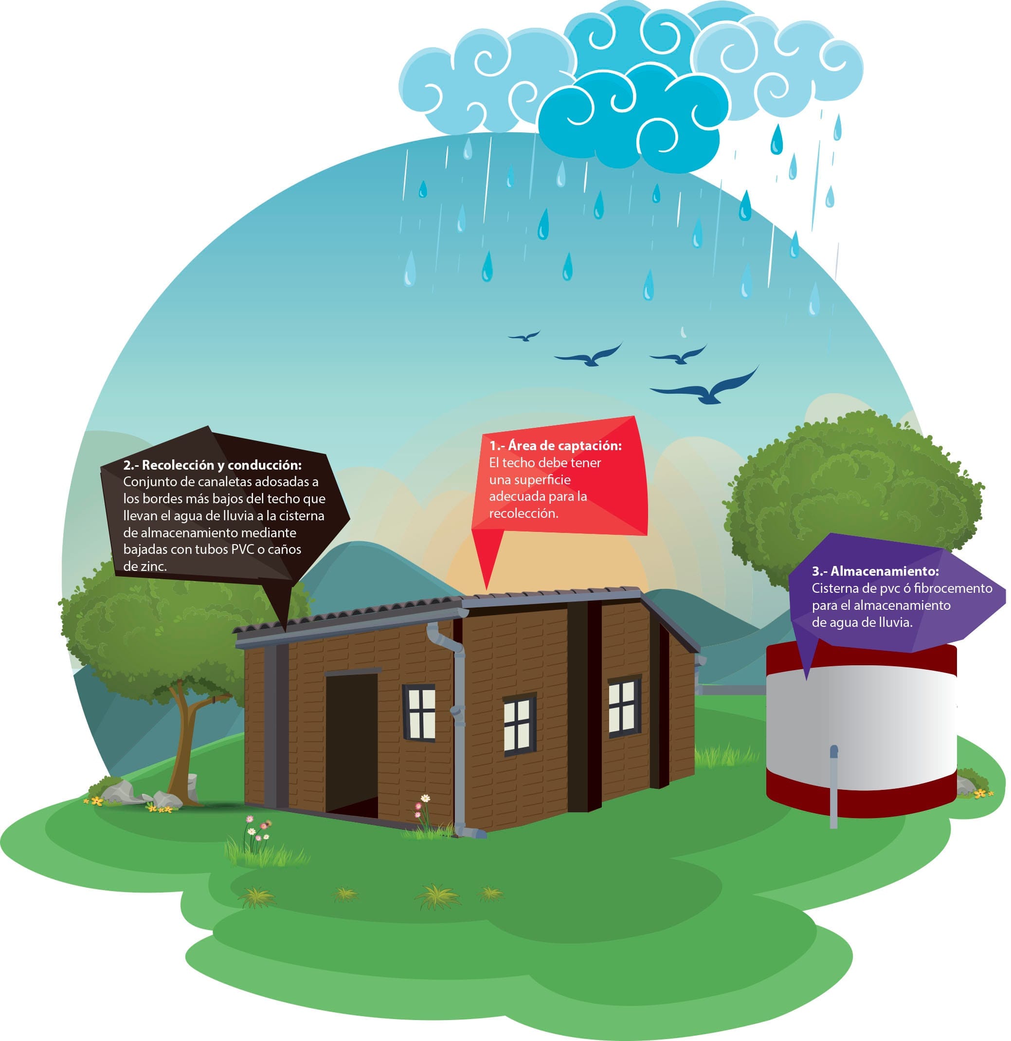 esquema reciclado agua de lluvia